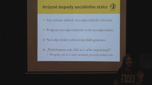 Anarchokapitalismus, díl dvanáctý: Sociální systém